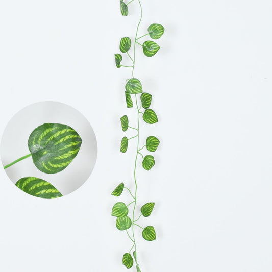 Enredadera 1.50 mts - Ref. AE033