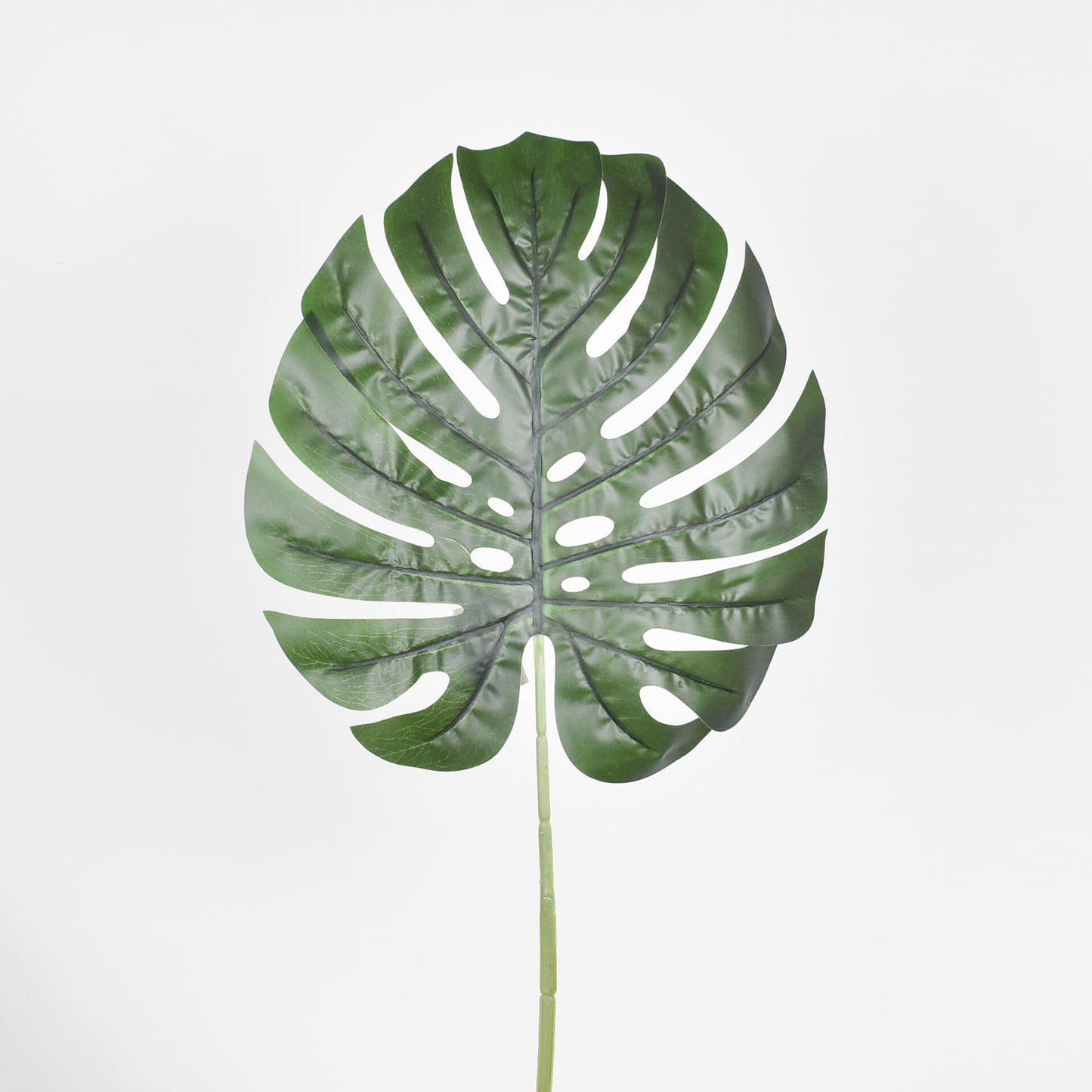Hoja 70 cms - Ref. AE066