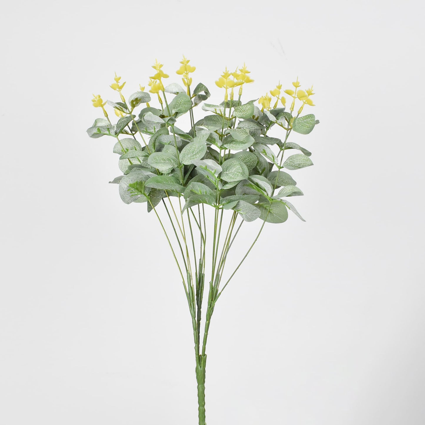Eucalipto 46 cms -Ref. EU04