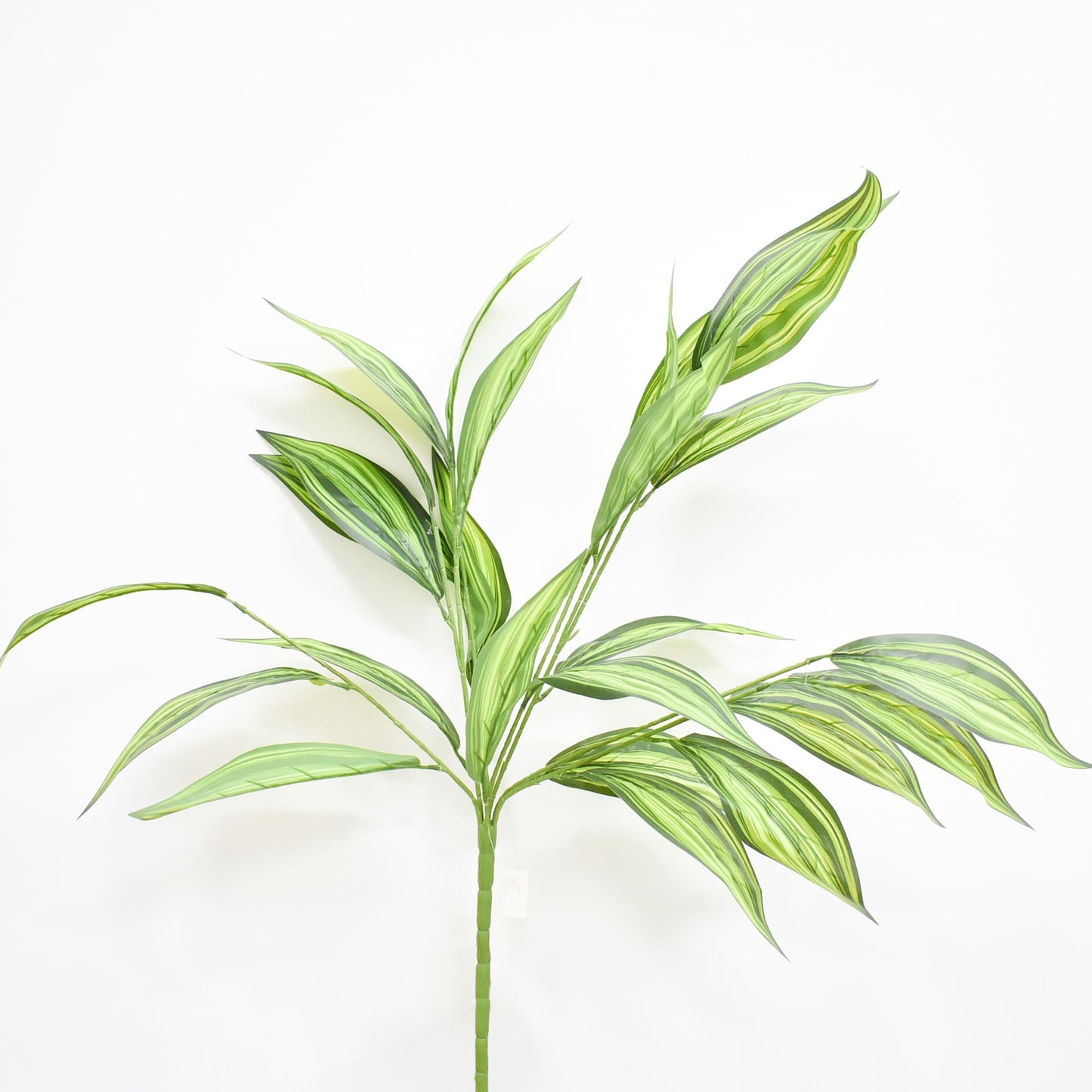 Hoja 73 cms