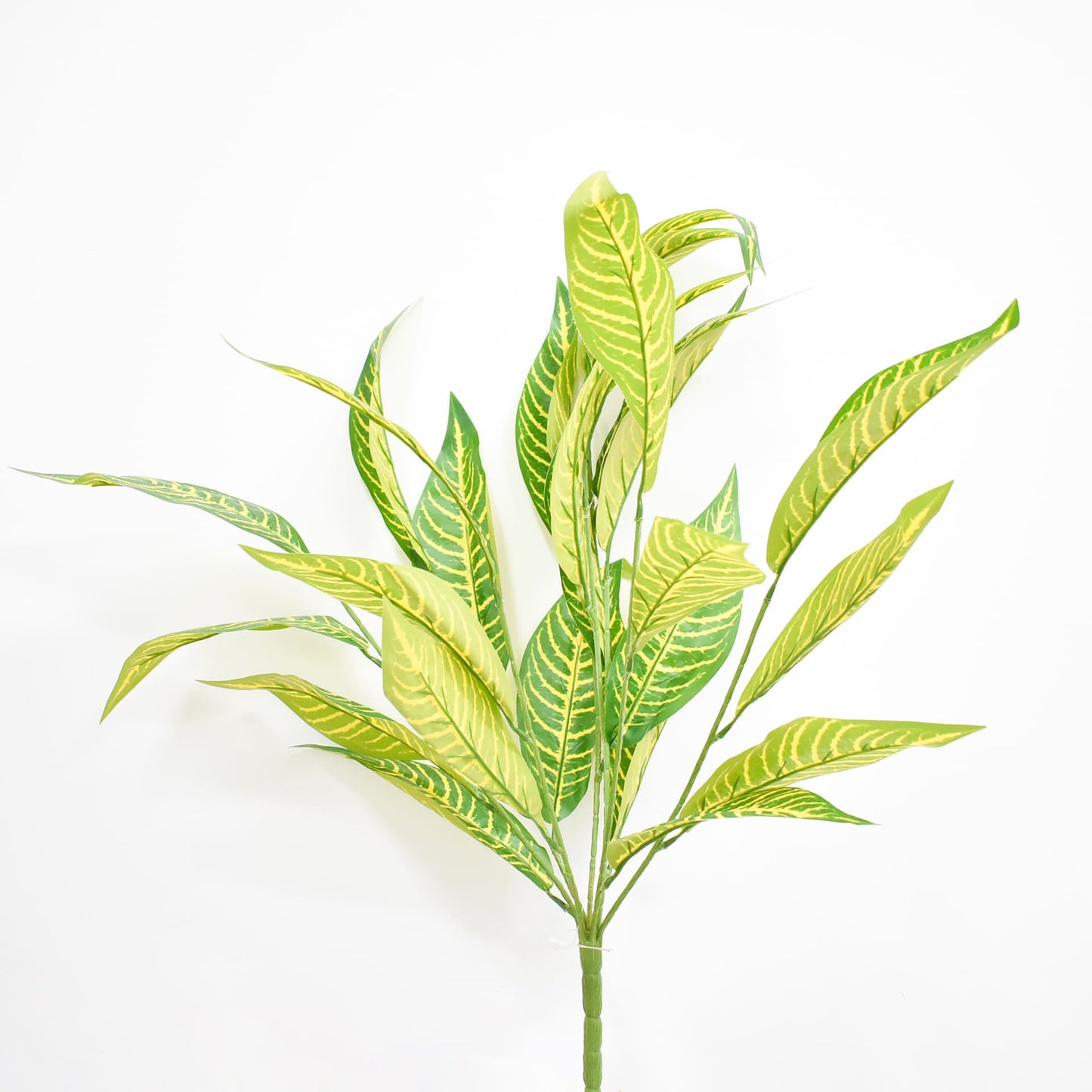 Hoja 73 cms