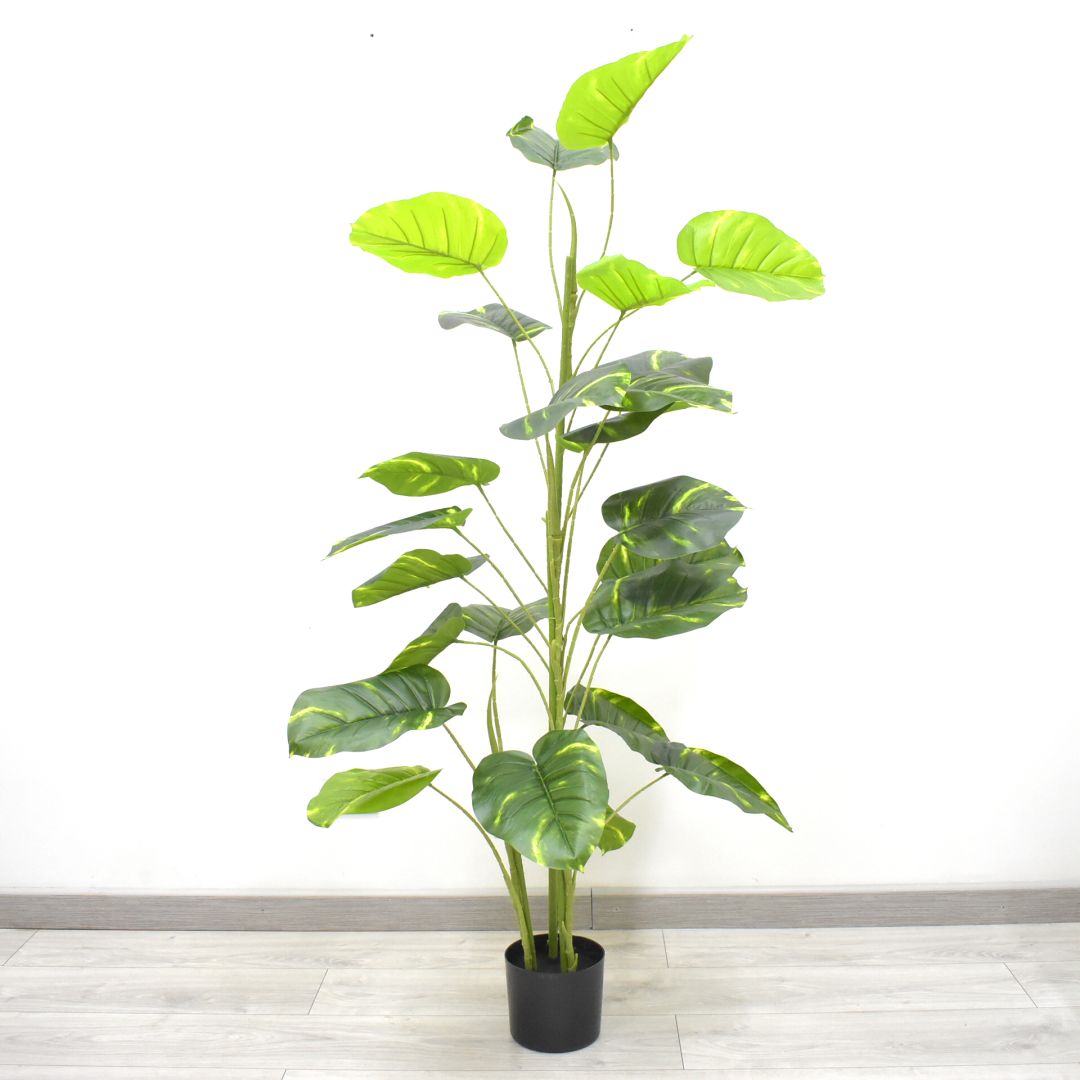 Planta Artificial 1.6 mts - Ref. SD223