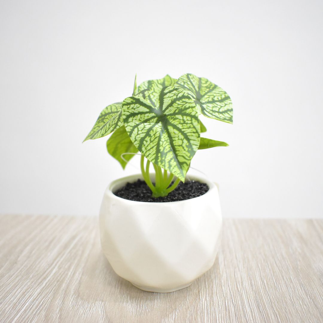 Planta Artificial 10 cms - Ref. SD235