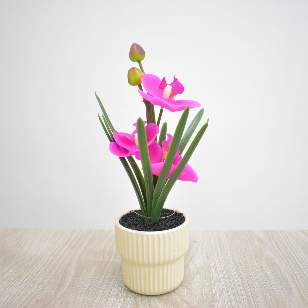 Planta Artificial 28 cms - Ref. SD238