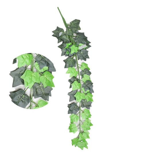 Enredadera 1 mts - Ref. X0086