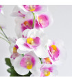 Orquídea Artificial x6 Blanco Con Morado - AC300