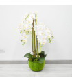 Planta Artificial 90 cms - Ref. AZ359B