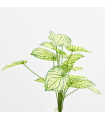 Hojas verdes nro 1 - Ref. S219