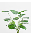 Hojas verdes nro 4 - Ref. S219