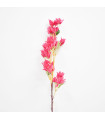 Vara Fucsia - Ref. AQ0022