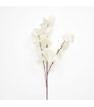 Vara Blanca - Ref. AQ0024B