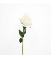 Rosa Blanca - Ref. AQ0371