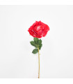Rosa Fucsia - Ref. AQ0371