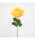 Rosa Amarilla - Ref. AQ0371