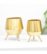 Maceta Set x 2 - Ref. RC132