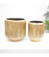 Maceta x2 - Ref. SA144