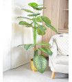 Ref. AM070 PLANTA ARTIFICIAL 1.20 MT