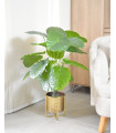 Ref. AR3512B PLANTA ARTIFICIAL 80 CM