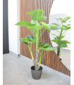 Ref. AC392 PLANTA ARTIFICIAL 1.50 MT