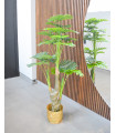 Planta Artificial 1.60 MT - Ref.  AC395