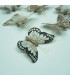 Mariposa x8 8 cm - Ref. A20185