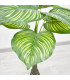 Ref. AR3518D PLANTA ARTIFICIAL 90 CM