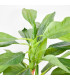 Ref. AR3540 PLANTA ARTIFICIAL 1.50 MT