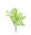 Follaje Verde Claro x5 36 cms - Ref. AX46A