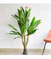 Planta Artificial - Ref AM062