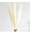 Pluma Decorativa - Ref. PLU07W