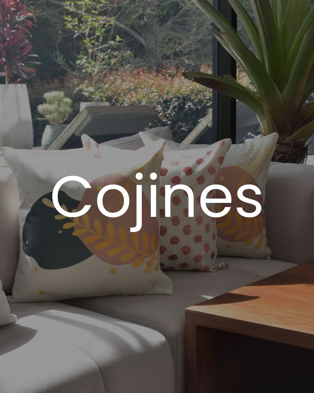 Cojines