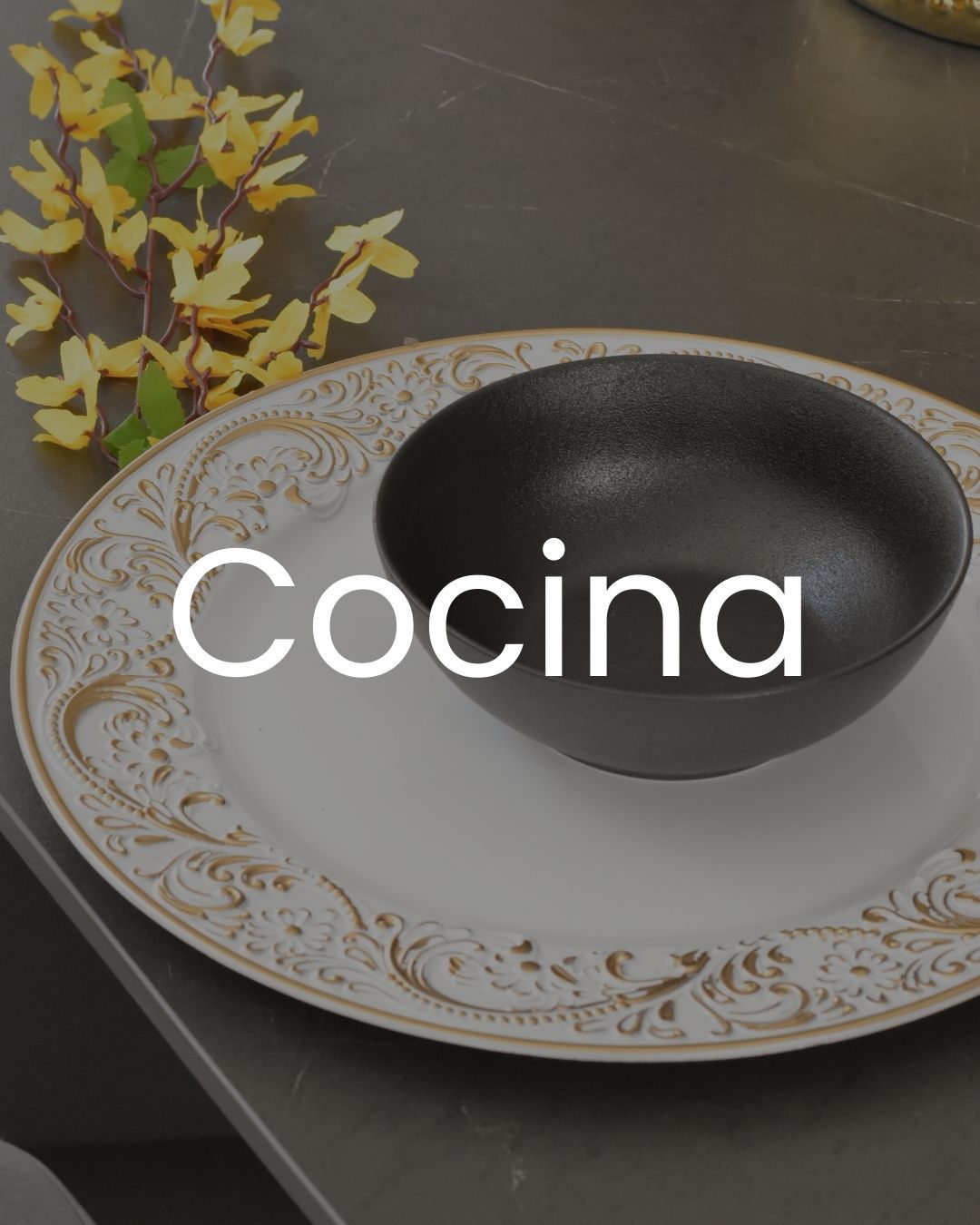 Cocina