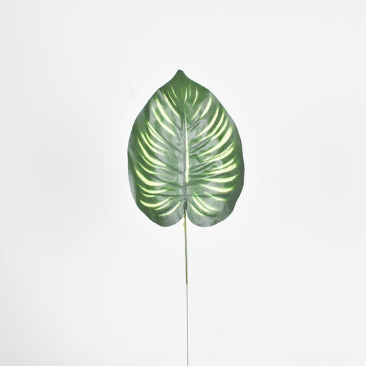 Hoja x12 42 cms - Ref. AE064