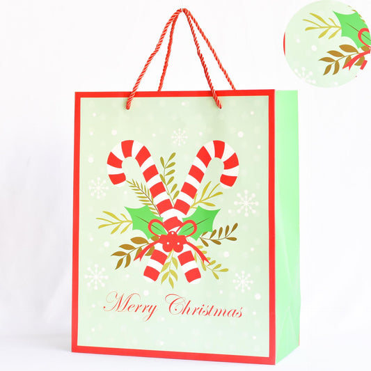 Bolsa de Regalo 32x26 cms - Ref. AZ574