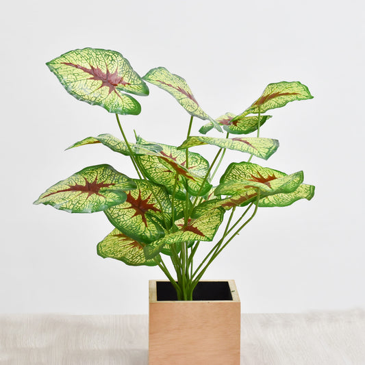 Hoja 70 cms