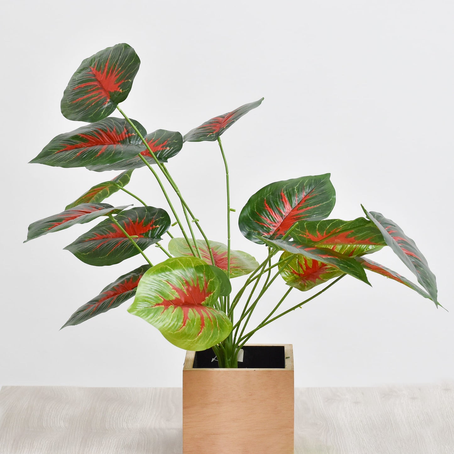 Hoja 70 cms