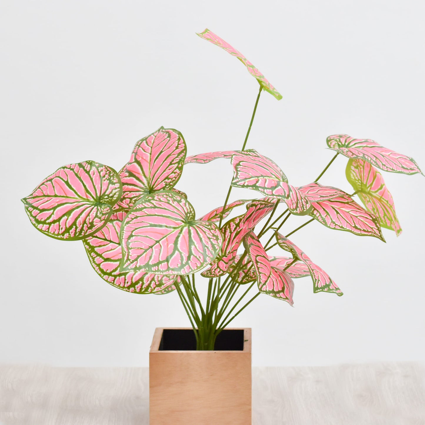 Hoja 70 cms