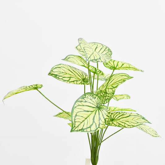 Hoja 65 cms