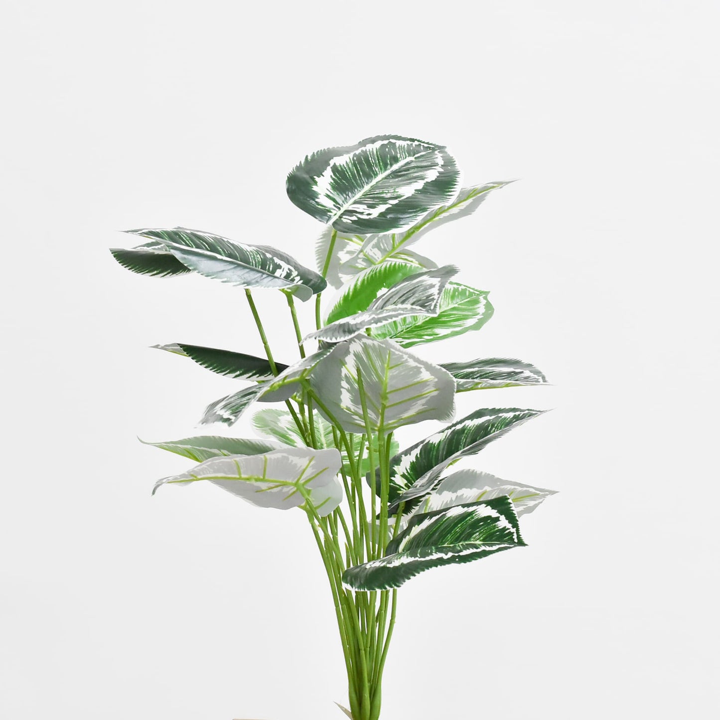 Hoja 65 cms