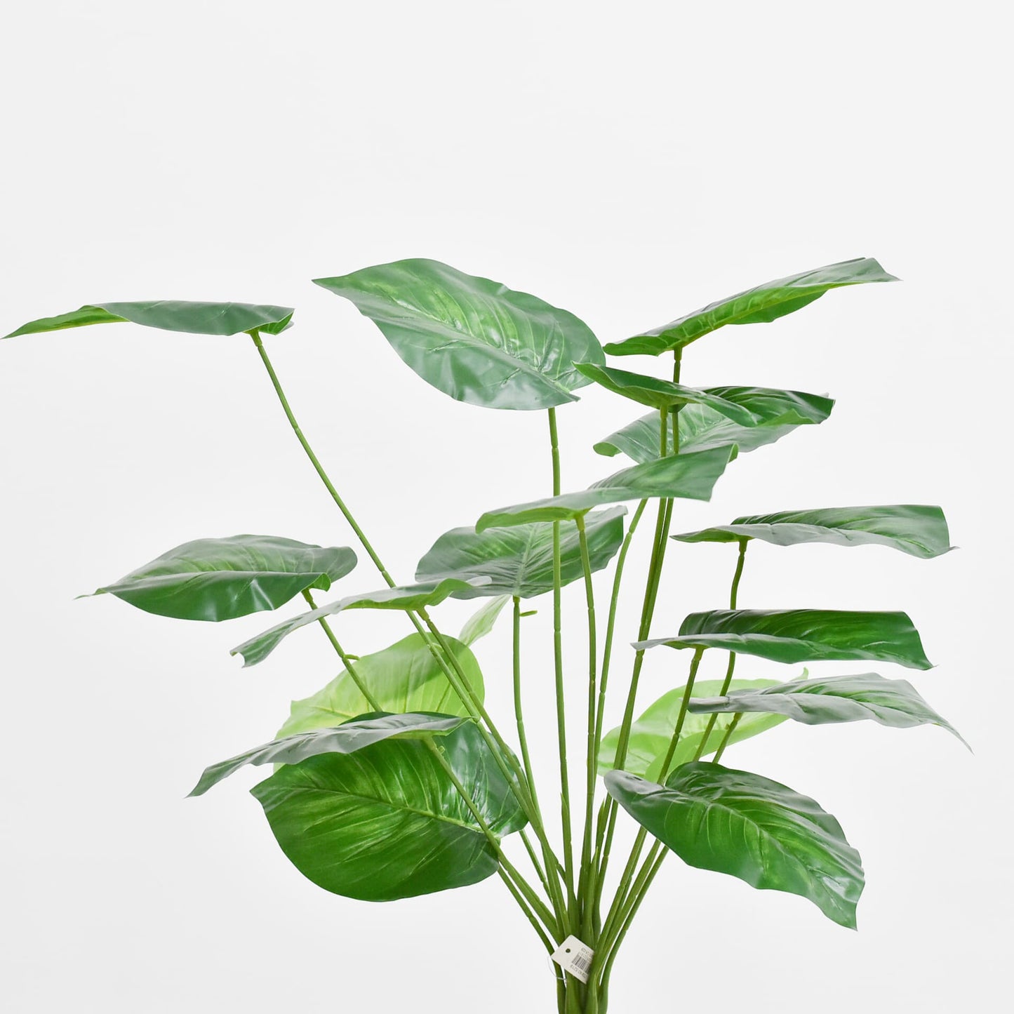 Hoja 65 cms