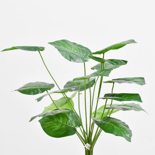 Hoja 65 cms
