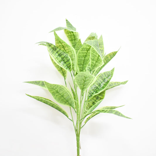 Hoja 73 cms
