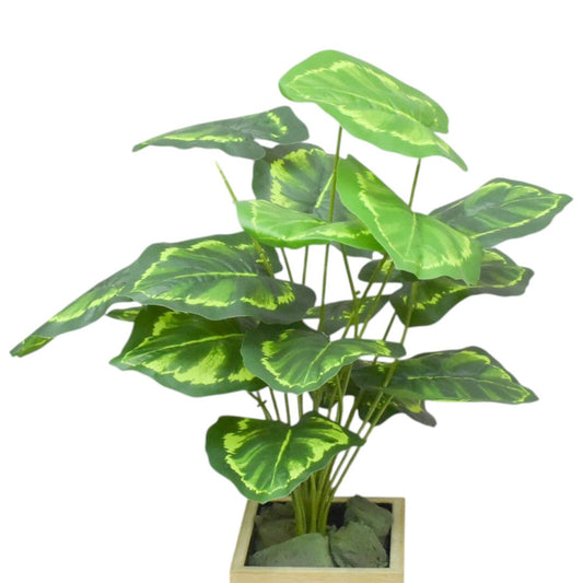 Hojas verdes 60 cms