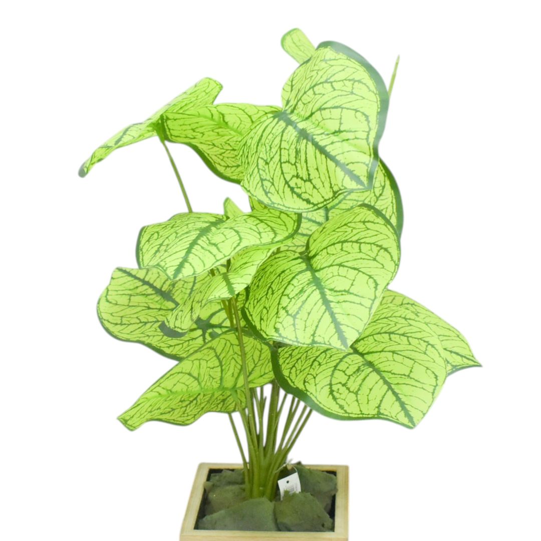 Hojas verdes 60 cms