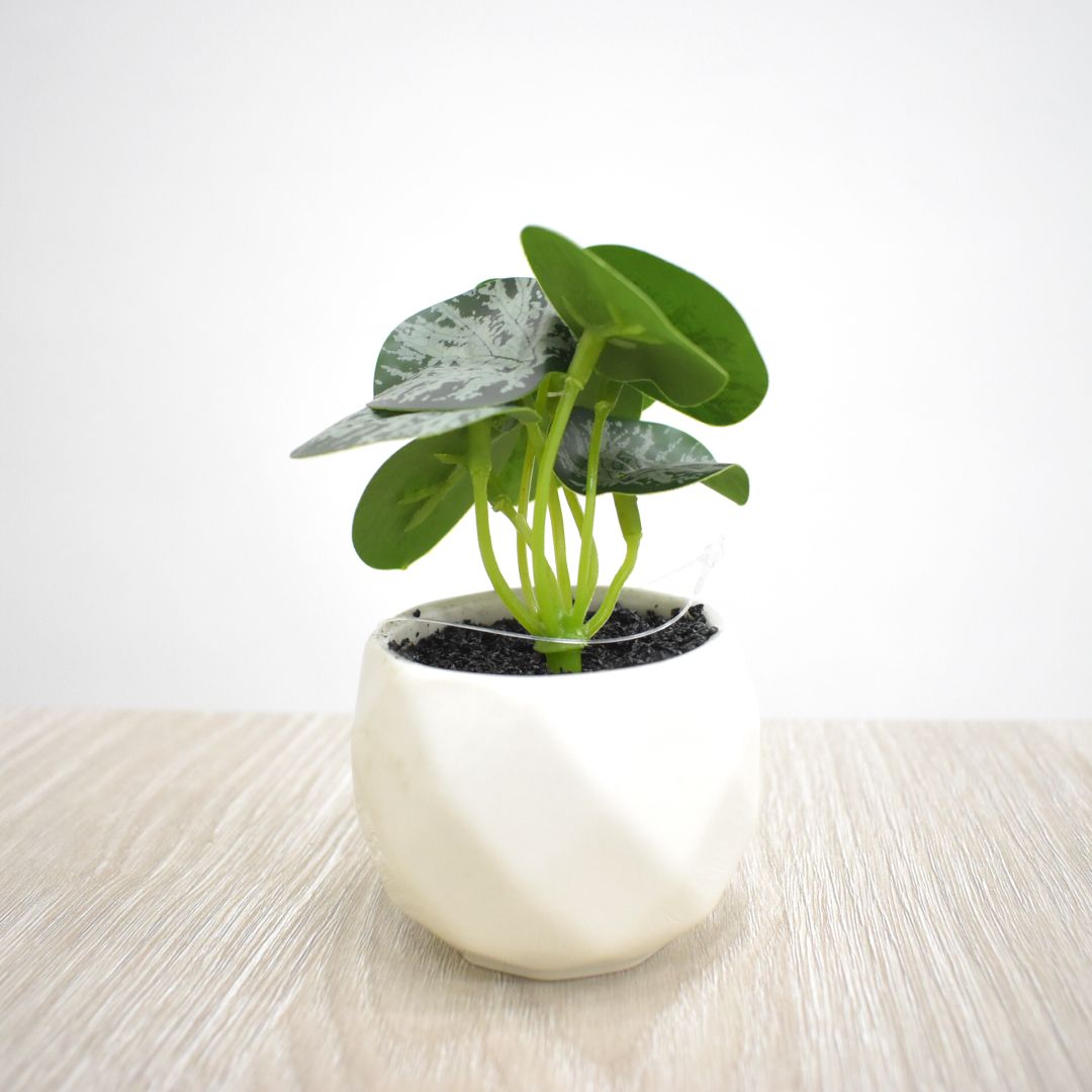 Planta Artificial 10 cms - Ref. SD234