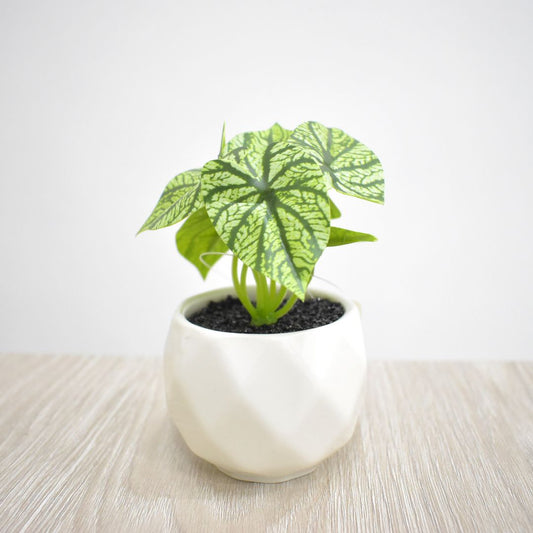 Planta Artificial 10 cms - Ref. SD235