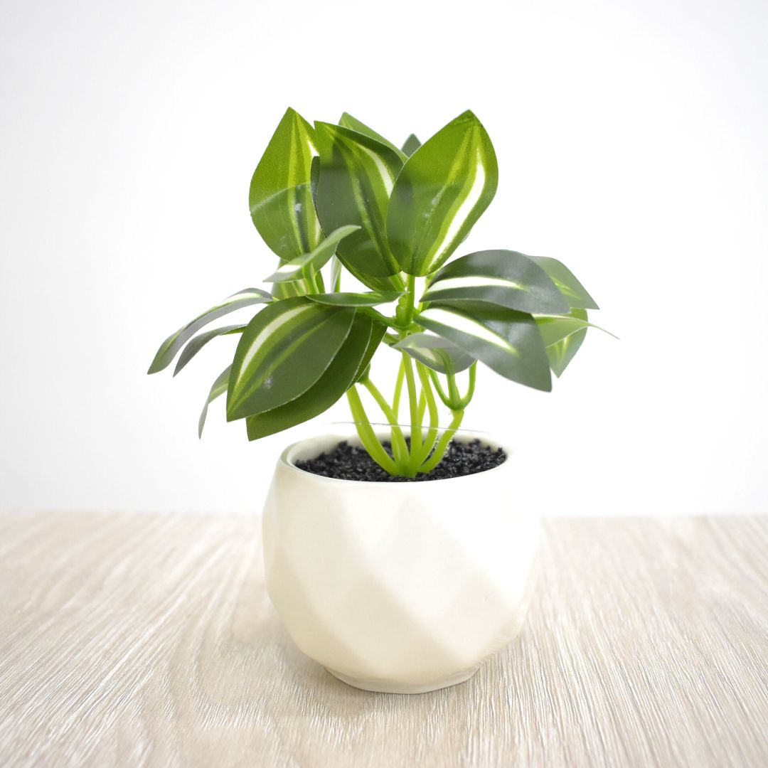 Planta Artificial 10 cms - Ref. SD236