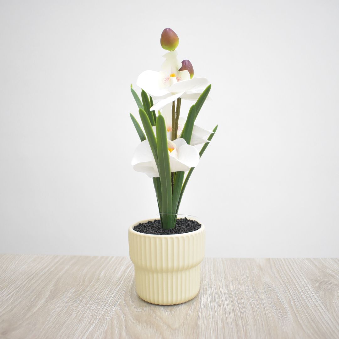 Planta Artificial 28 cms - Ref. SD237