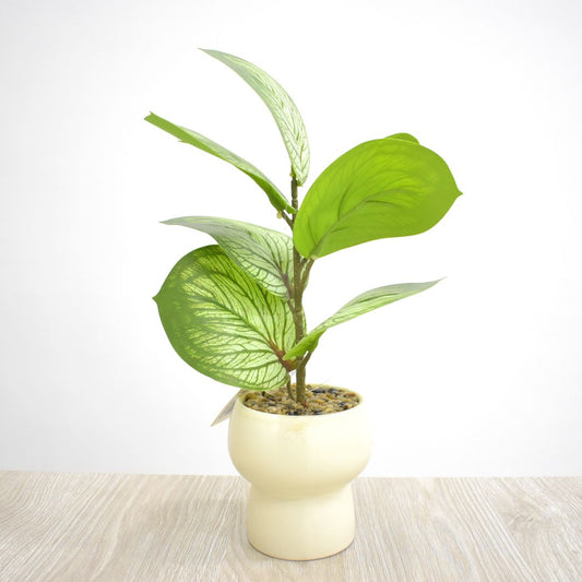 Planta Artificial 30 cms - Ref. SD242