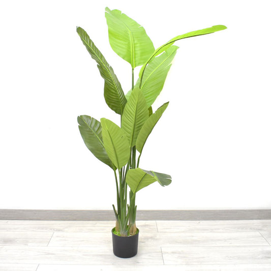 Planta Artificial 1.6 mts - Ref. SD252